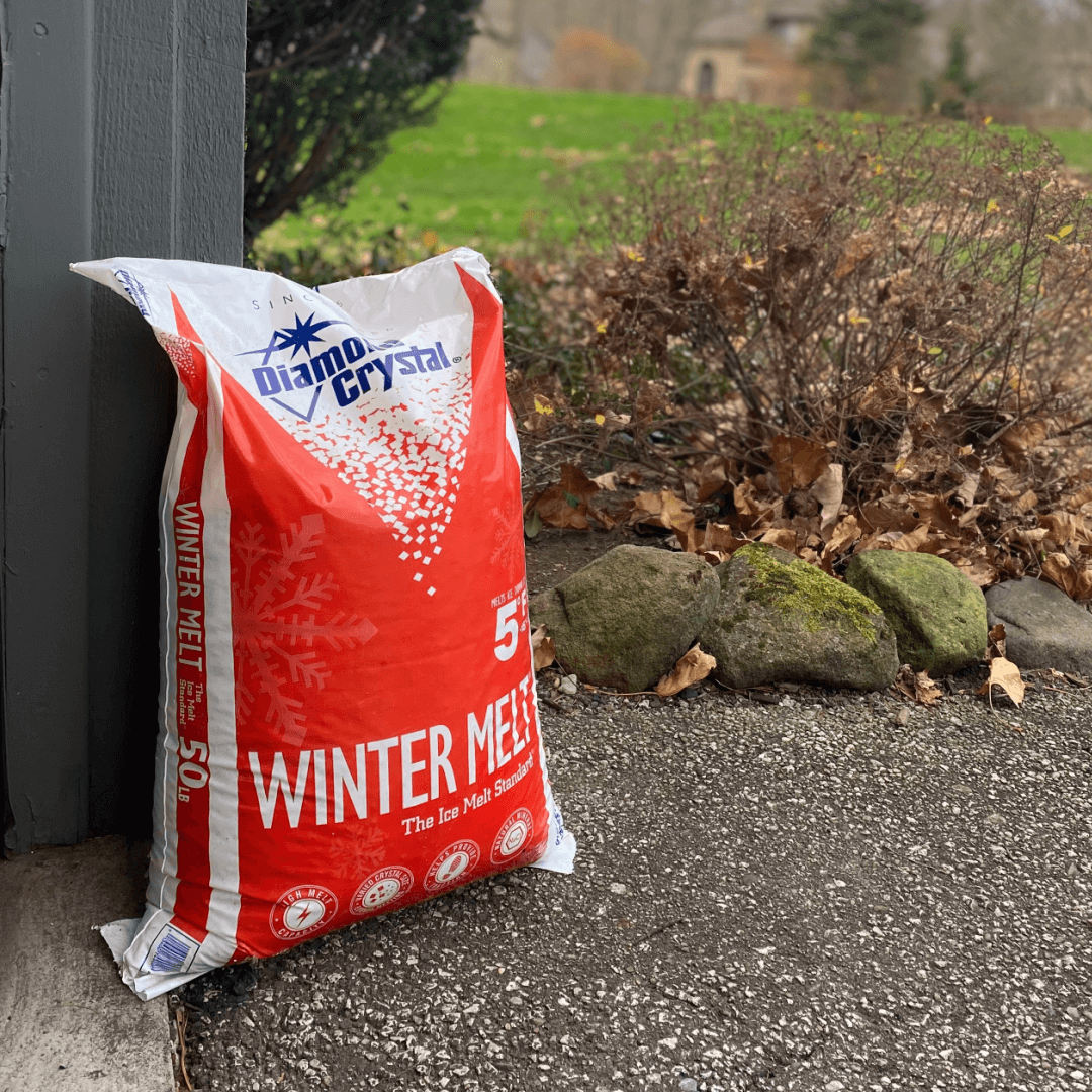 safety salt home delivery