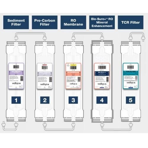 wellsys replacement filters